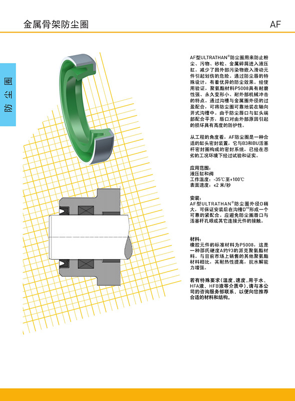 AF1_副本.jpg